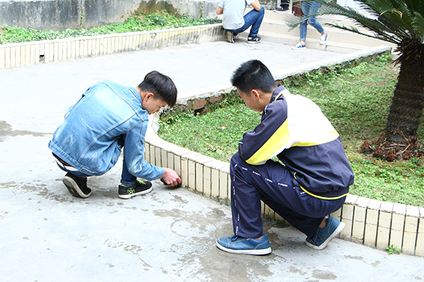 图一 志愿者们在清理杂草.JPG