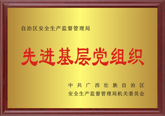 7 自治区安全生产监督管理局先进基层党组织.jpg